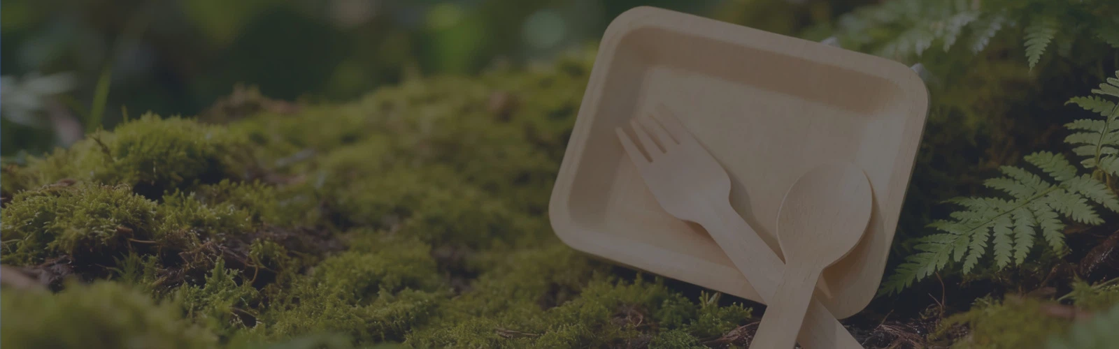 Biojx-Cutlery-in-Nature-Sustainable-Tableware-Philosophy Biojx-Cutlery-in-Nature-Sustainable-Tableware-Philosophy