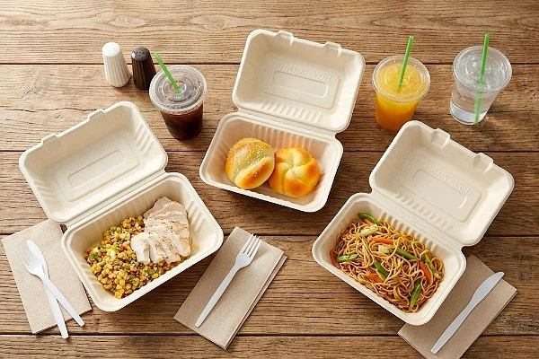 Biodegradable 9x6 bagasse clamshell packaging Biodegradable 9x6 bagasse clamshell packaging